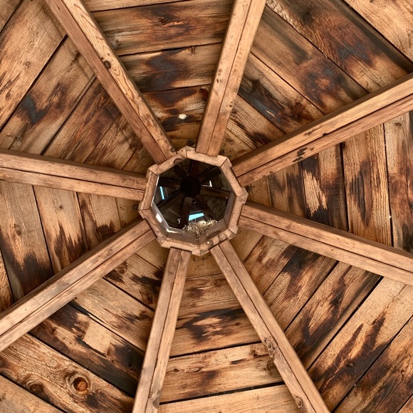 Meet your Posher, Brandi - Picture 1 of 1